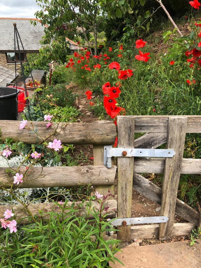 Higher Greenway Annexe Brixham Eksteriør bilde