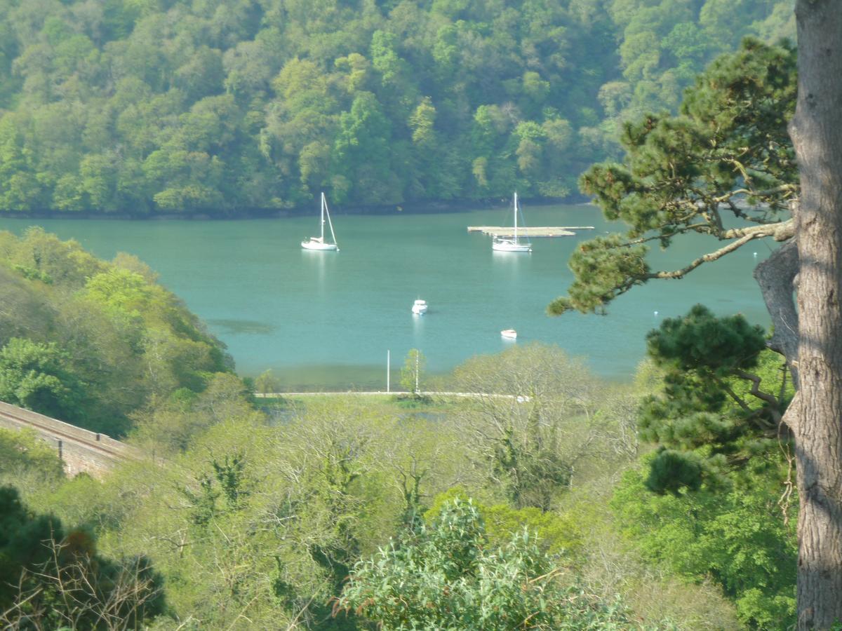Higher Greenway Annexe Brixham Eksteriør bilde